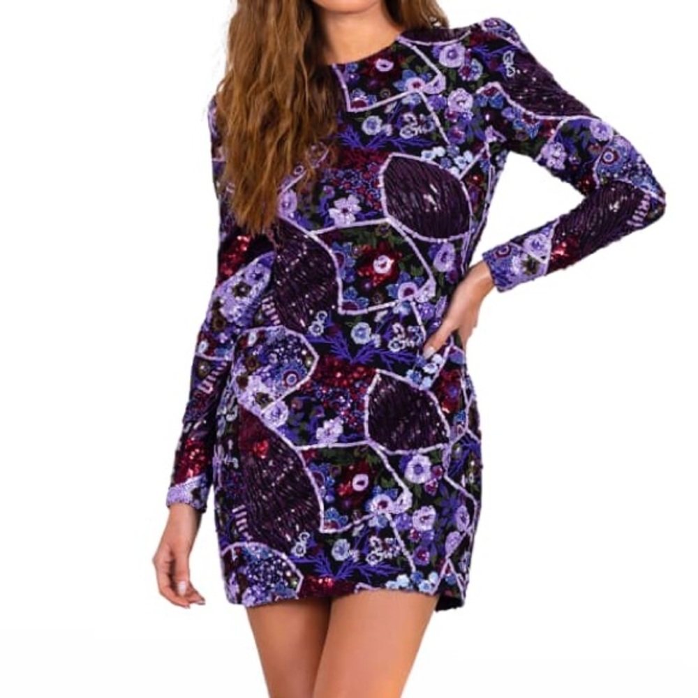 HELSI
Monica Sequin Open-Back Mini Dress L NWT 475$